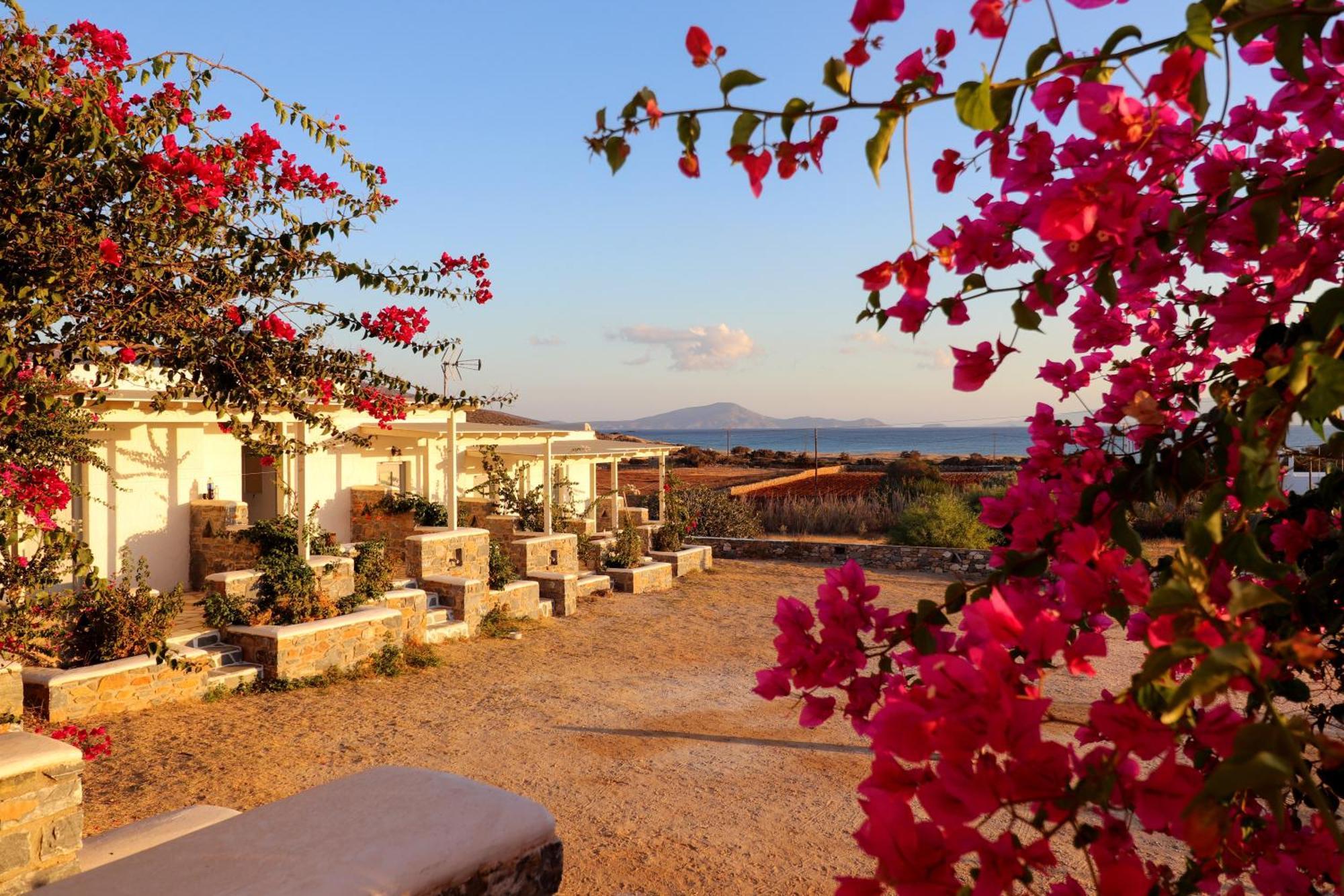 Sunny Studios Naxos Aliko Beach Exterior foto