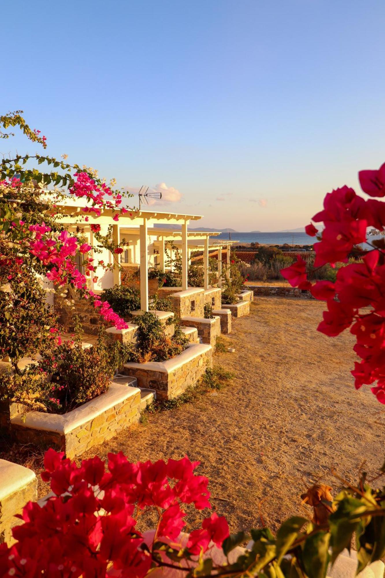 Sunny Studios Naxos Aliko Beach Exterior foto